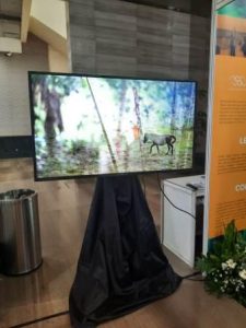 Sewa Tv Led Salt Rental